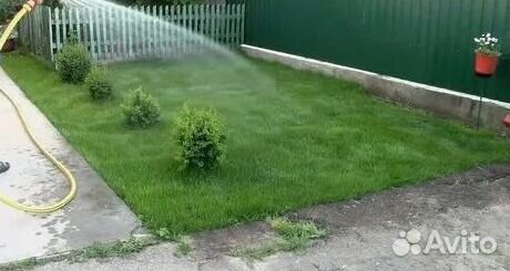 Газон рулонный