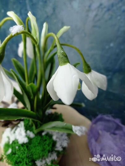 Подснежники из холодного фарфора