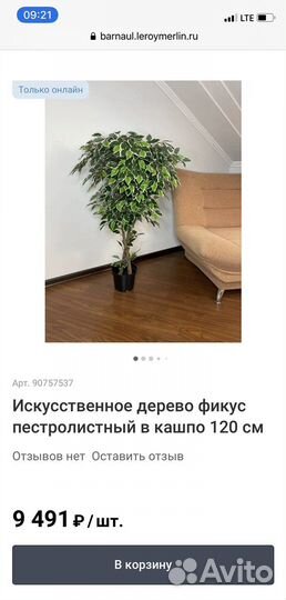 Фикус бенжамина искусственный