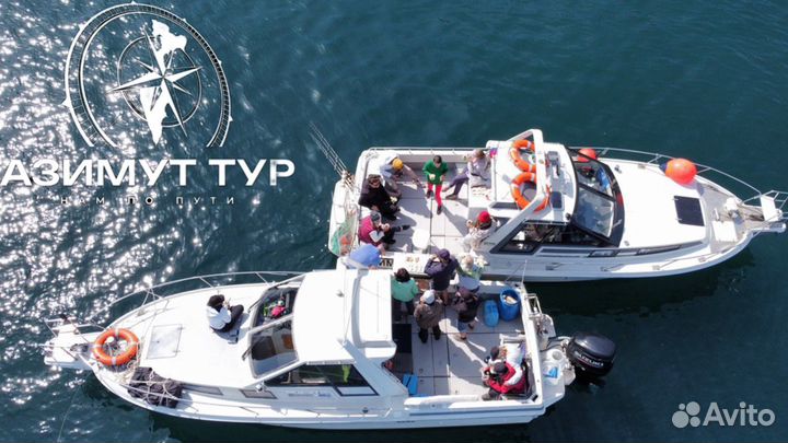 Морские прогулки.Аренда быстроходных катеров