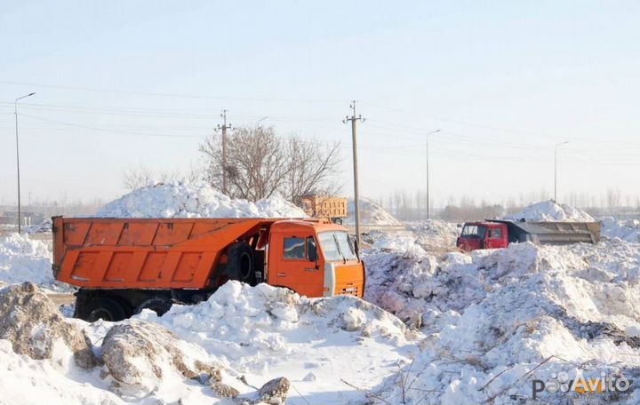 Вывезти мусор тбо,услуги по вывозу снега