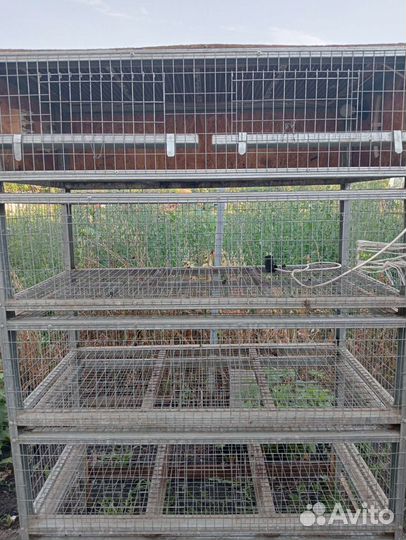 Брудер клетка для птицы