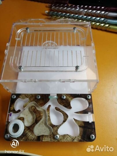 Муравьиная ферма mini