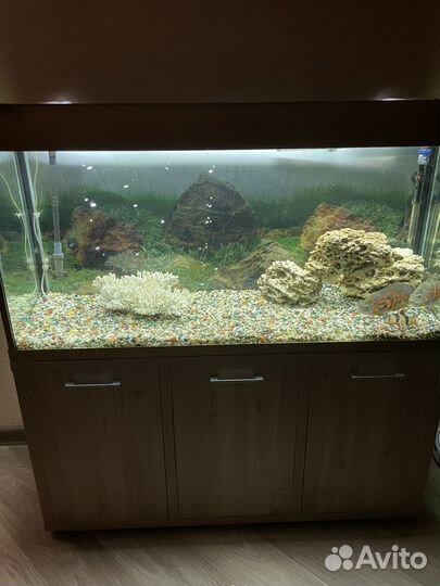 Аквариум с тумбой 300 литров