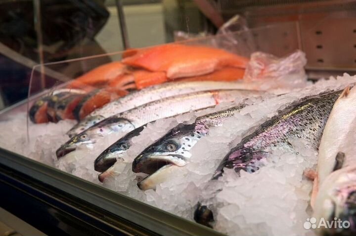 Создайте бизнес с франшизой рыбного магазина