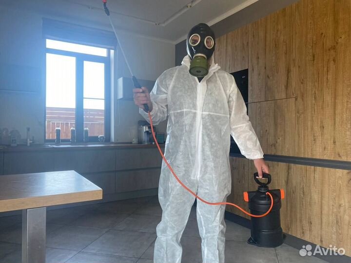 Дезинфекция. Уничтожение клопов, тараканов, блох