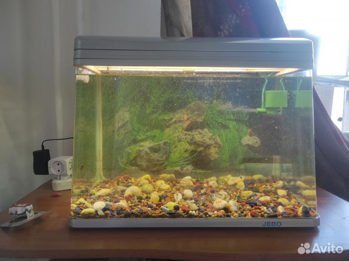 Аквариум jebo