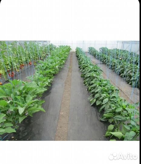 Агроспан укрывной материал