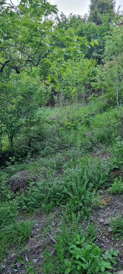 Участок 4 сот. (ИЖС)