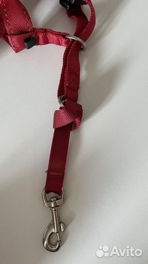 Недоуздок для собак halti красный, Size 2