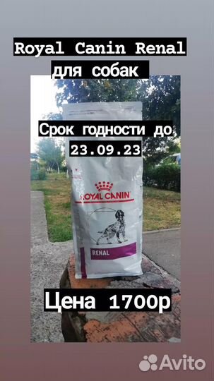 Корм для собак и кошек