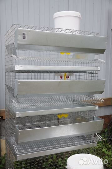 Клетка для перепелов