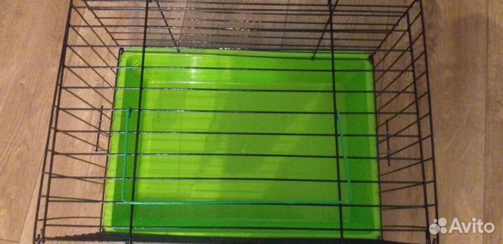 Клетка для морской свинки