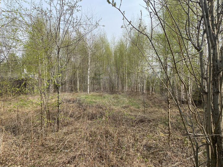 Участок 6,9 сот. (СНТ, ДНП)