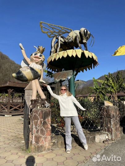 VIP-тур в Абхазию на минивене