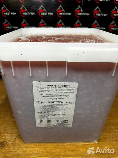 Красная Икра Кижуча 2023г оптом без посредников