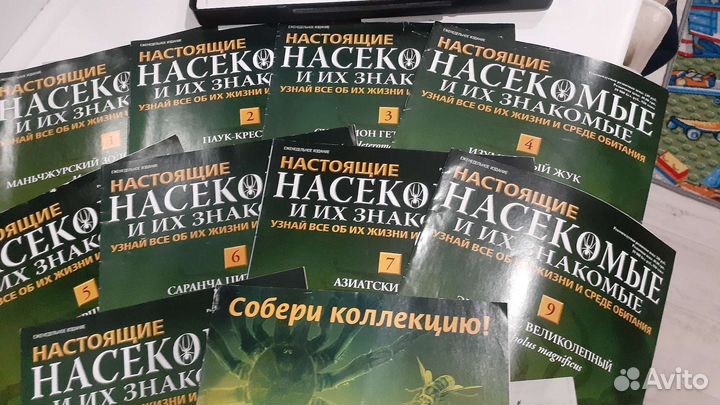 Коллекция насекомых в стекле