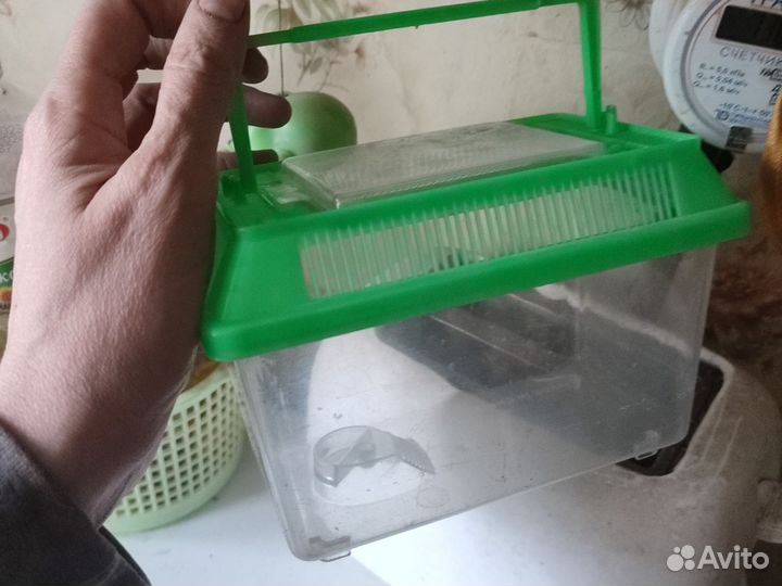 Переноска для черепах