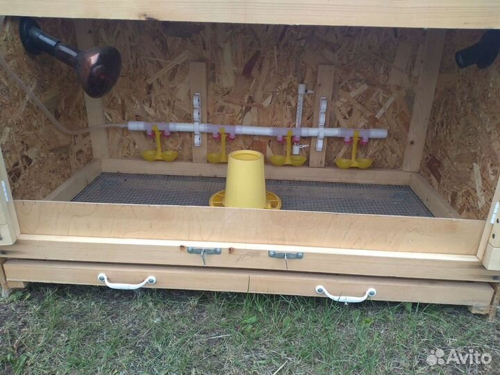 Брудер для цыплят