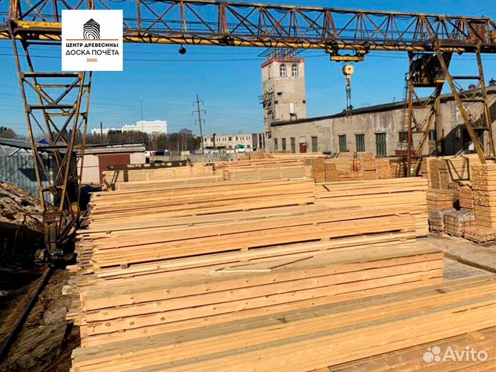 Дверное полотно на клине хвоя банная