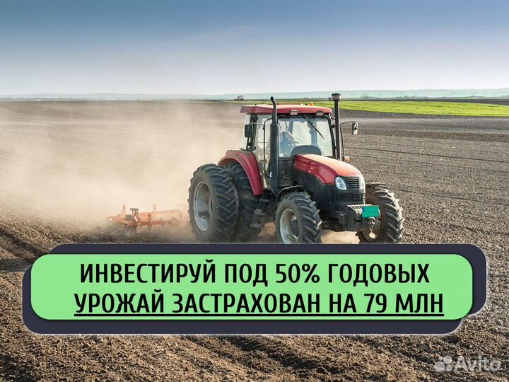 Привлекаем инвестиции в действующий бизнес
