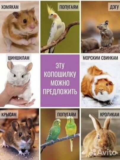 Копошилка для грызунов и попугаев