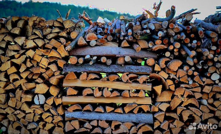 Дрова без гнили