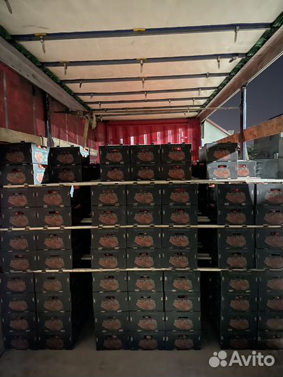 Помидоры сливка оптом