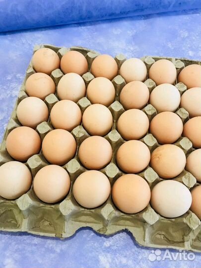 Кремовое яйцо. Куриное яйцо