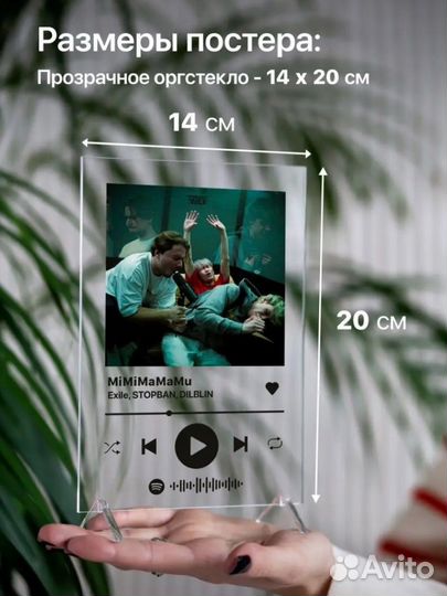 Пластинка с песней мимимамаму