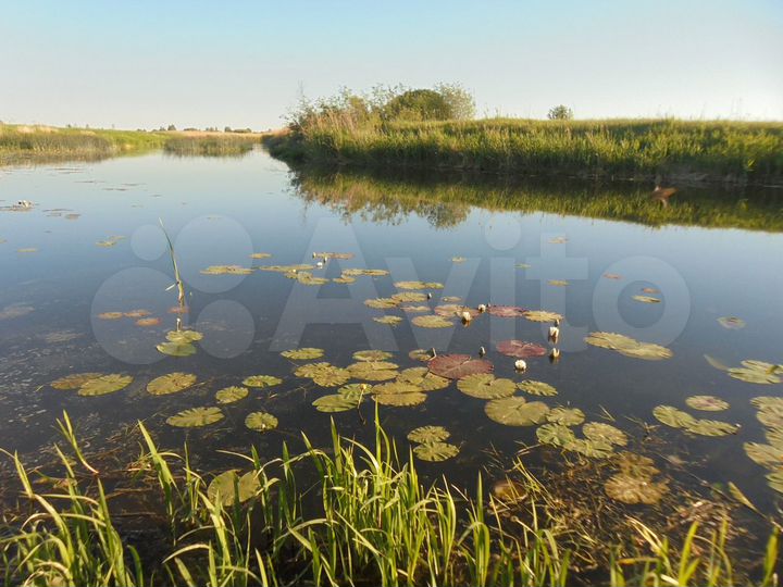 Участок 3 га (СНТ, ДНП)