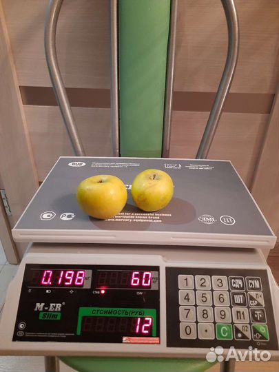 Электронные весы