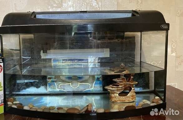 Pearl аквариум