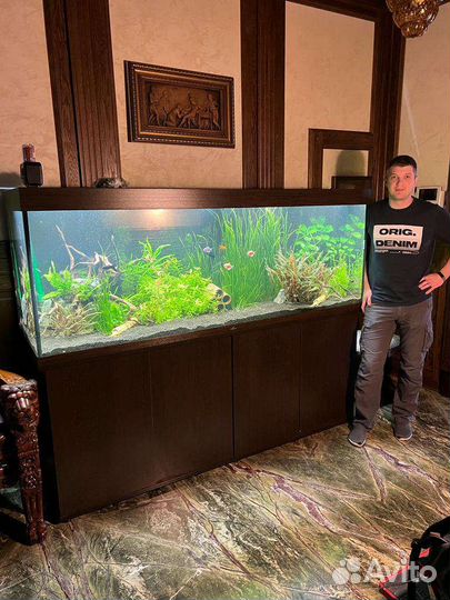 Чистка аквариума, Обслуживание аквариума