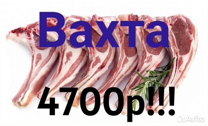 Работа в Брянске Вахта с проживнием питаем