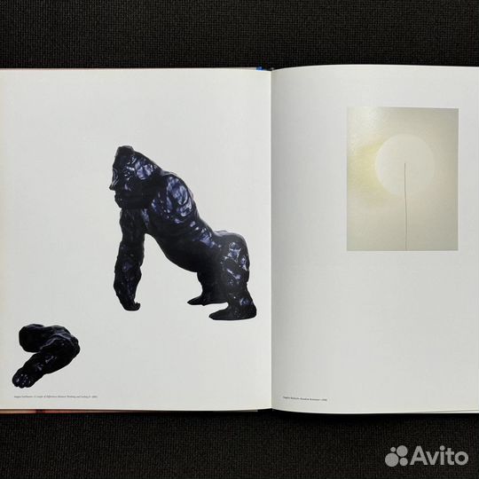 Книга Damien Hirst's Murderme Collection