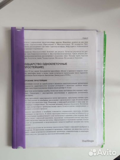 Конспекты по биологии для подготовки к егэ