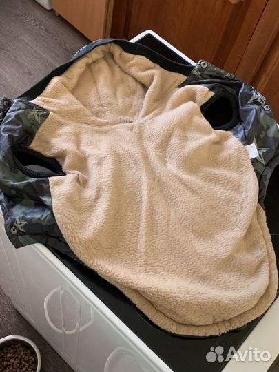 Одежда для собак