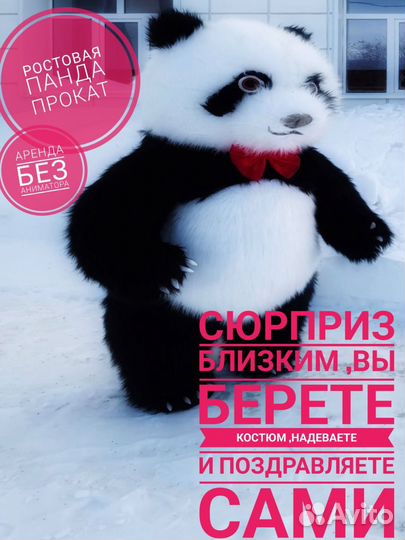 Ростове куклы Панда