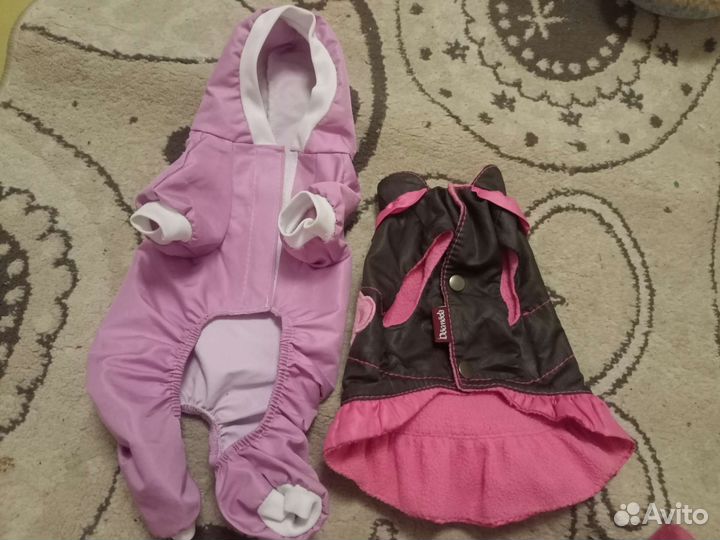 Одежда для маленькой собачки