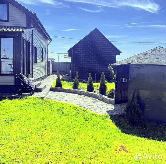 Туи колумна