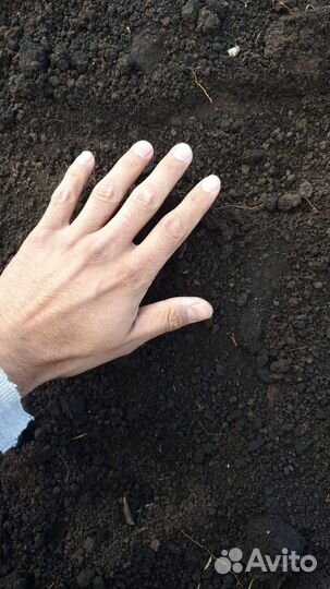 Чернозем на соболь вездеход доставка