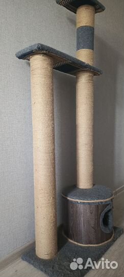 Когтеточка