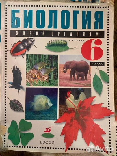 Учебник по биологии 6 класс Сонин Н.И