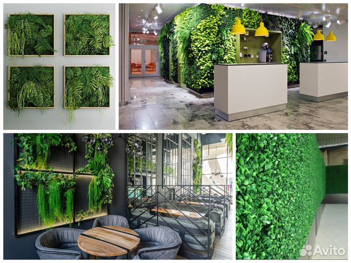 Вертикальное озеленение