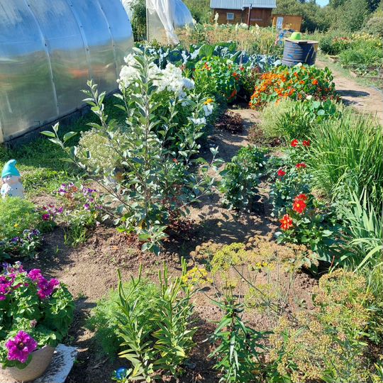 Дача 21 м² на участке 8,5 сот.