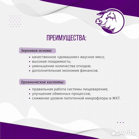 Комбикорм для свиней и поросят