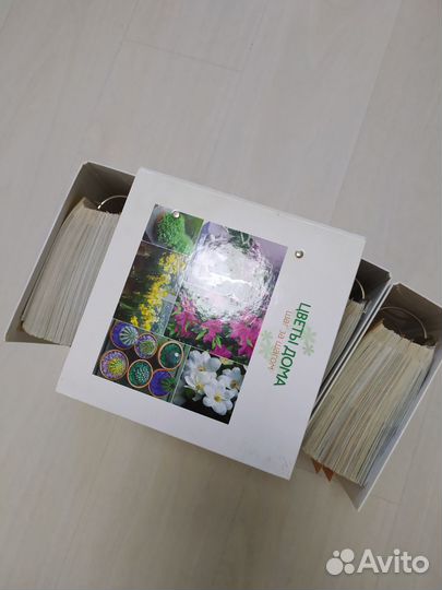 Карточки цветы дома