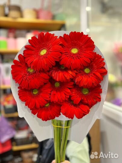 Цветы Герберы