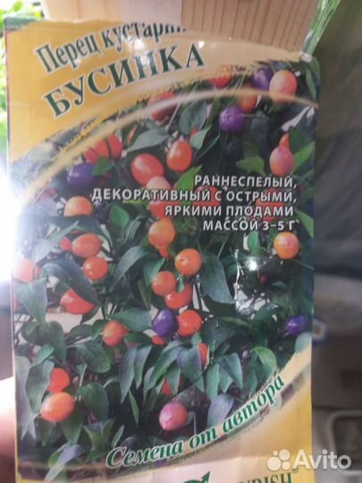 Острый комнатный перец